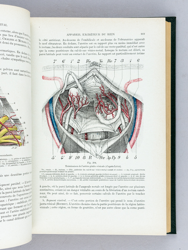 TESTUT, L. ; LATARJET, A. Traité D'Anatomie Humaine. Tome V : Péritoine ...